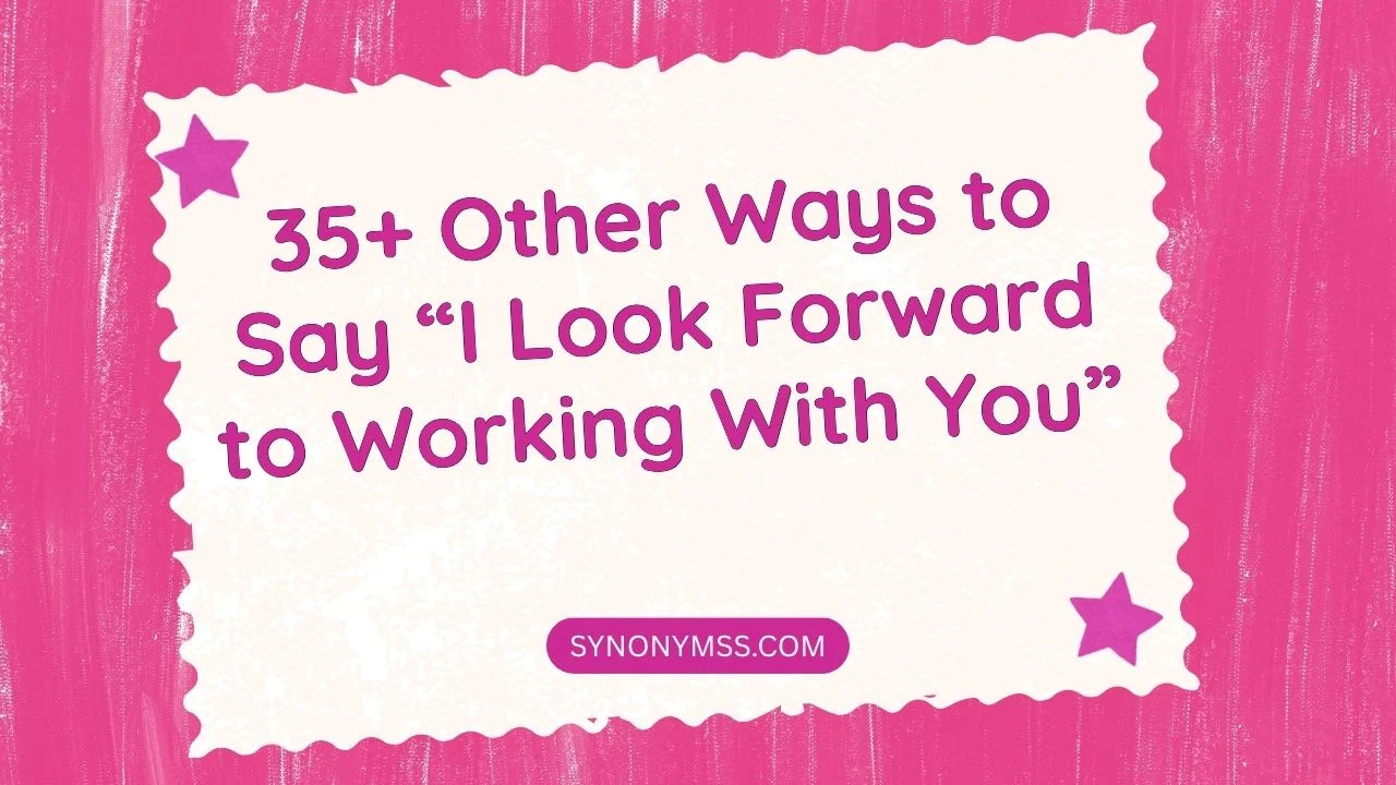 I Look Forward to Working With You